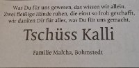 eine Anzeige